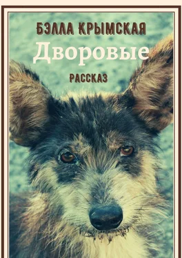 Бэлла Крымская Дворовые обложка книги