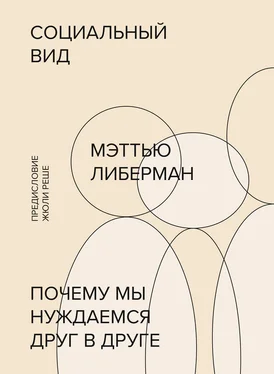 Мэттью Либерман Социальный вид обложка книги