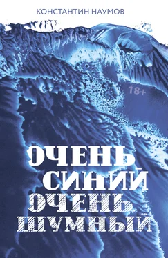 Константин Наумов Очень синий, очень шумный обложка книги