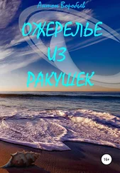 Антон Воробьев - Ожерелье из ракушек