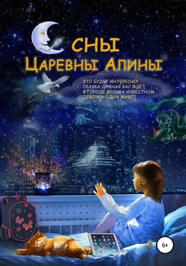 Сергей Ермаков Сны Царевны Алины обложка книги