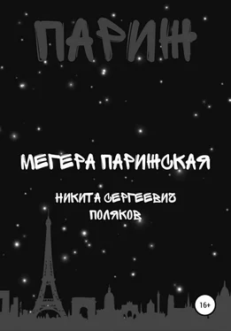 Никита Поляков Мегера парижская обложка книги