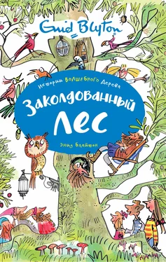 Энид Блайтон Заколдованный лес обложка книги