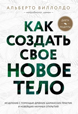 Альберто Виллолдо Как создать свое новое тело обложка книги