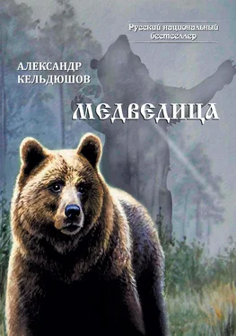 Александр Кельдюшов Медведица обложка книги