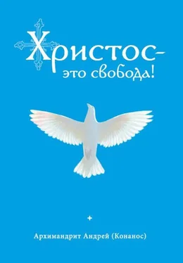 архимандрит Андрей Конанос Христос – это свобода! обложка книги