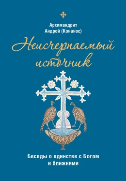 архимандрит Андрей Конанос Неисчерпаемый источник. Беседы о единстве с Богом и ближними обложка книги