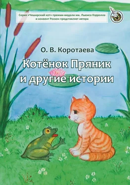 Ольга Коротаева Котёнок Пряник и другие истории обложка книги