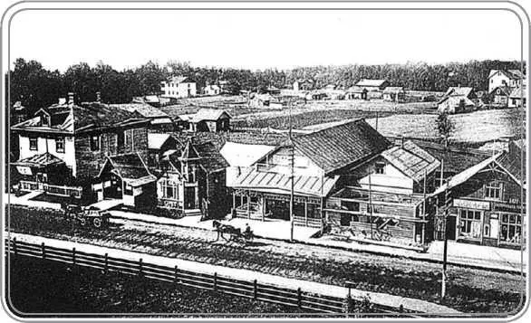 Дачный поселок Терийоки Электричество в поселке появилось в 1912 г через год - фото 172