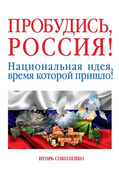 Игорь Соколенко Пробудись, Россия! Национальная идея, время которой пришло! обложка книги