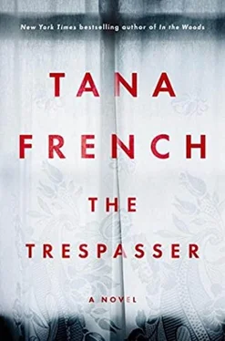 Tana French The Trespasser обложка книги