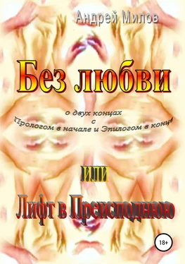 Андрей Милов Без любви, или Лифт в Преисподнюю обложка книги