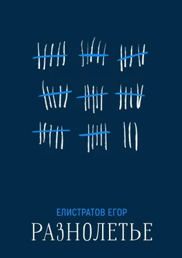 Егор Елистратов Разнолетье обложка книги