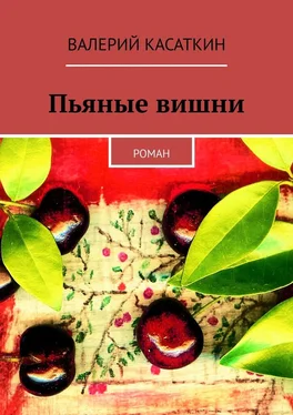 Валерий Касаткин Пьяные вишни. Роман обложка книги