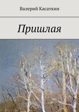 Валерий Касаткин Пришлая обложка книги