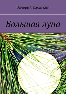 Валерий Касаткин Большая луна обложка книги