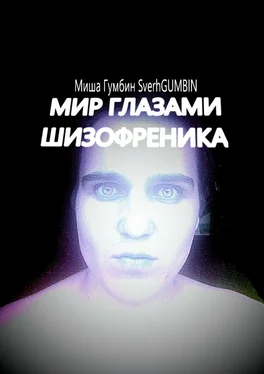 Миша Гумбин SverhGUMBIN Мир глазами шизофреника обложка книги
