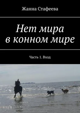 Жанна Стафеева Нет мира в конном мире. Часть 1. Вход обложка книги