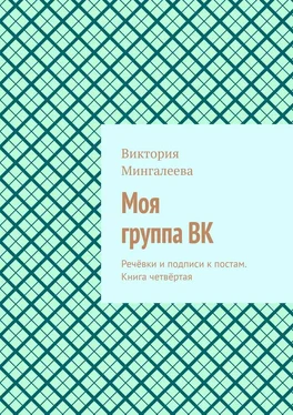 Виктория Мингалеева Моя группа ВК. Речёвки и подписи к постам. Книга четвёртая обложка книги