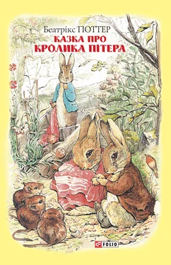 Беатрікс Поттер Казка про кролика Пітера обложка книги