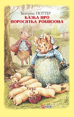 Беатрікс Поттер Казка про поросятка Робінзона обложка книги