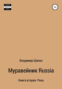 Владимир Шапко Муравейник Russia 2. Книга вторая. Парус обложка книги