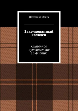 Ольга Пахомова Заколдованный колодец. Сказочное путешествие в Эфиопию обложка книги