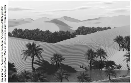 Оазис в Сахаре Сахарская зима нам жителям России вовсе не кажется зимой - фото 132