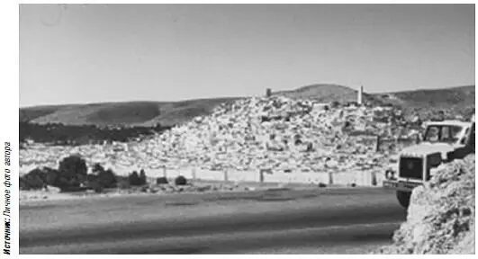 Вид города Гардая Вместо заключения Только в творчестве есть радость все - фото 153