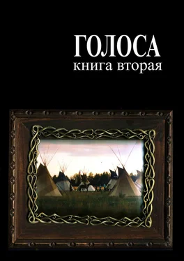 Андрей Ветер Голоса. Книга вторая. История движения индеанистов обложка книги