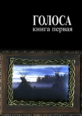 Андрей Ветер Голоса. Книга первая. История движения индеанистов обложка книги