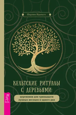 Шарлин Идальго Кельтские ритуалы с деревьями обложка книги