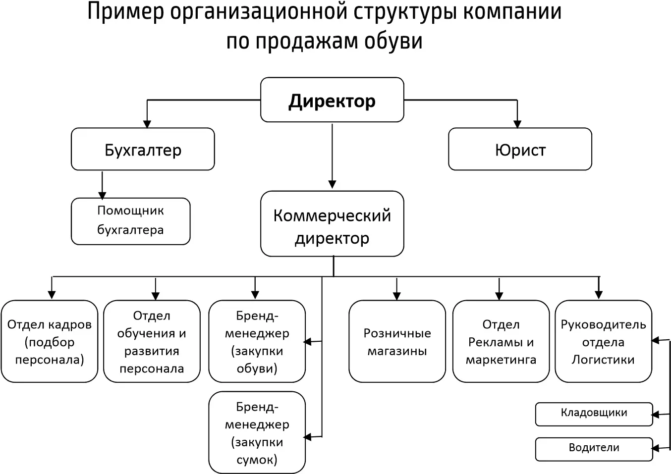В зависимости от количества магазинов и продавцовконсультантов организационная - фото 1