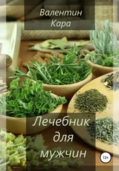 Валентин Кара - Лечебник для мужчин