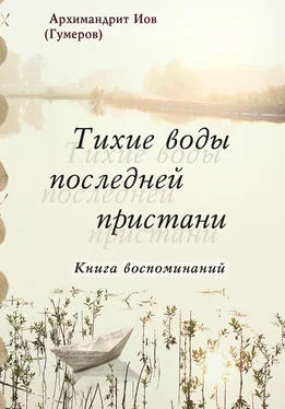 Иов (Гумеров) Тихие воды последней пристани. Книга воспоминаний обложка книги