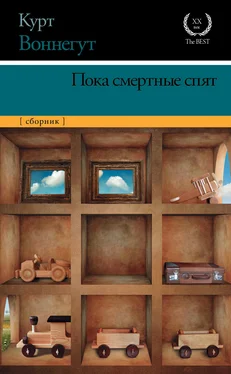 Курт Воннегут Пока смертные спят обложка книги