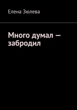 Елена Зюлева Много думал – забродил обложка книги