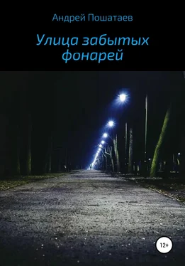 Андрей Пошатаев Улица забытых фонарей обложка книги
