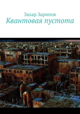 Захар Зарипов Квантовая пустота обложка книги