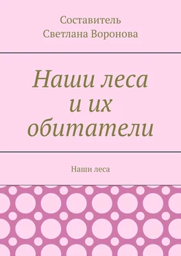 Светлана Воронова Наши леса и их обитатели обложка книги