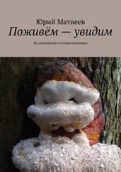 Юрий Матвеев - Поживём – увидим. По дневникам путешественника