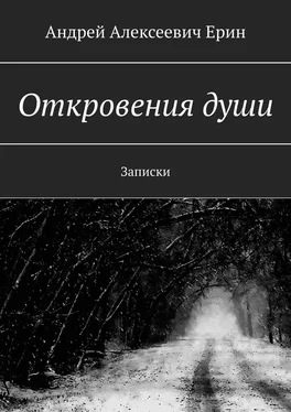 Андрей Ерин Откровения души. Записки обложка книги