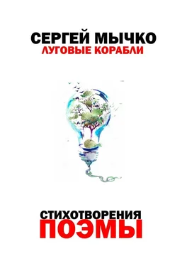 Сергей Мычко Луговые корабли обложка книги