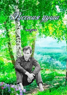 Ирина Коробейникова Русская душа. Поэзия обложка книги