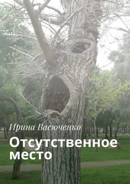 Ирина Васюченко Отсутственное место обложка книги