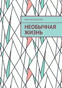 Максим Денисов Необычная жизнь обложка книги