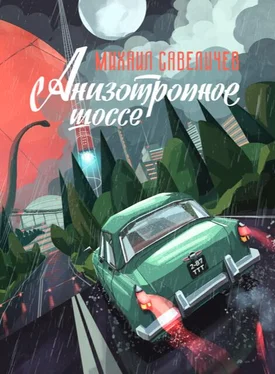 Михаил Савеличев Анизотропное шоссе обложка книги