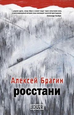 Алексей Брагин Росстани обложка книги