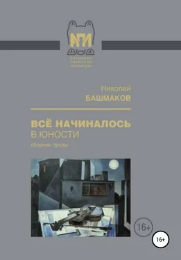 Николай Башмаков Всё начиналось в юности обложка книги