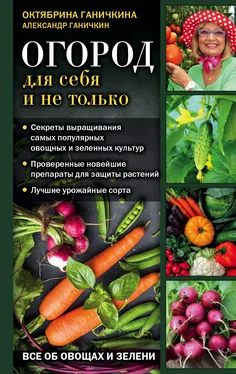 Александр Ганичкин Огород для себя и не только. Все об овощах и зелени обложка книги